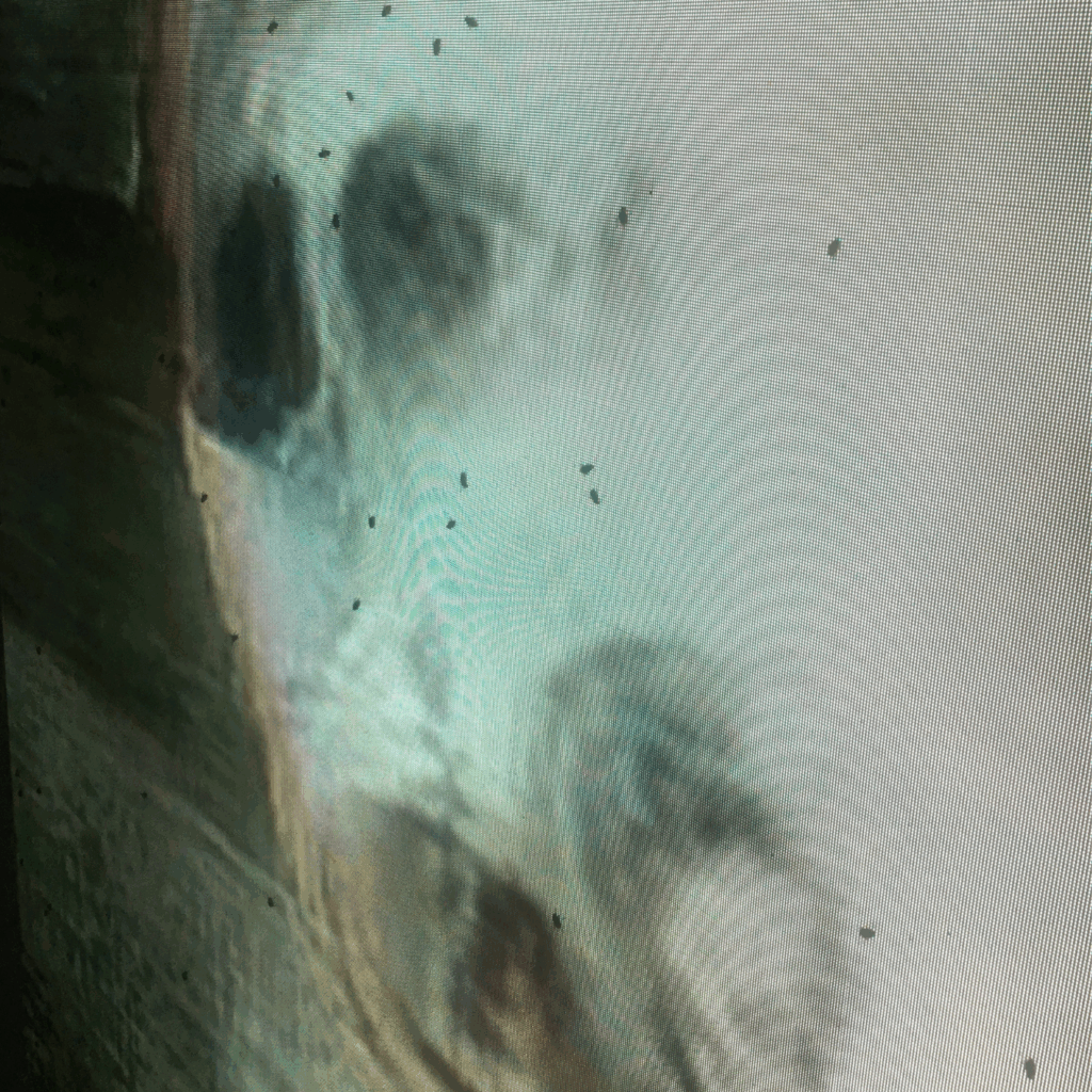 Pierre Huyghe